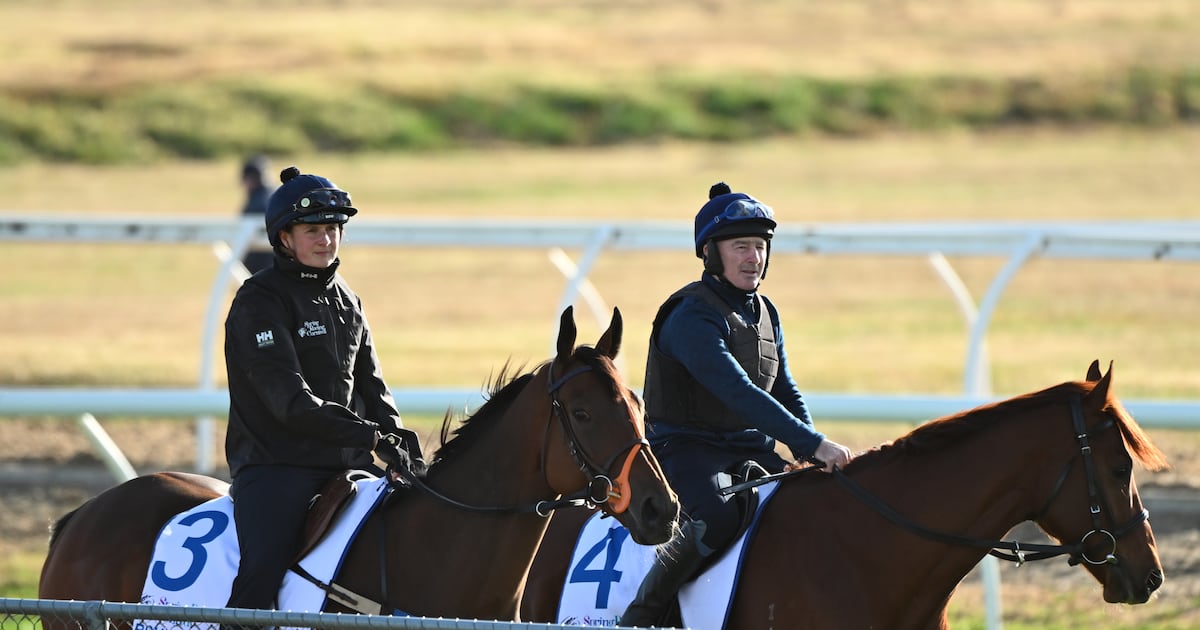 Willie Mullins aiming for landmark Caulfield Cup success with Absurde – The Irish Times