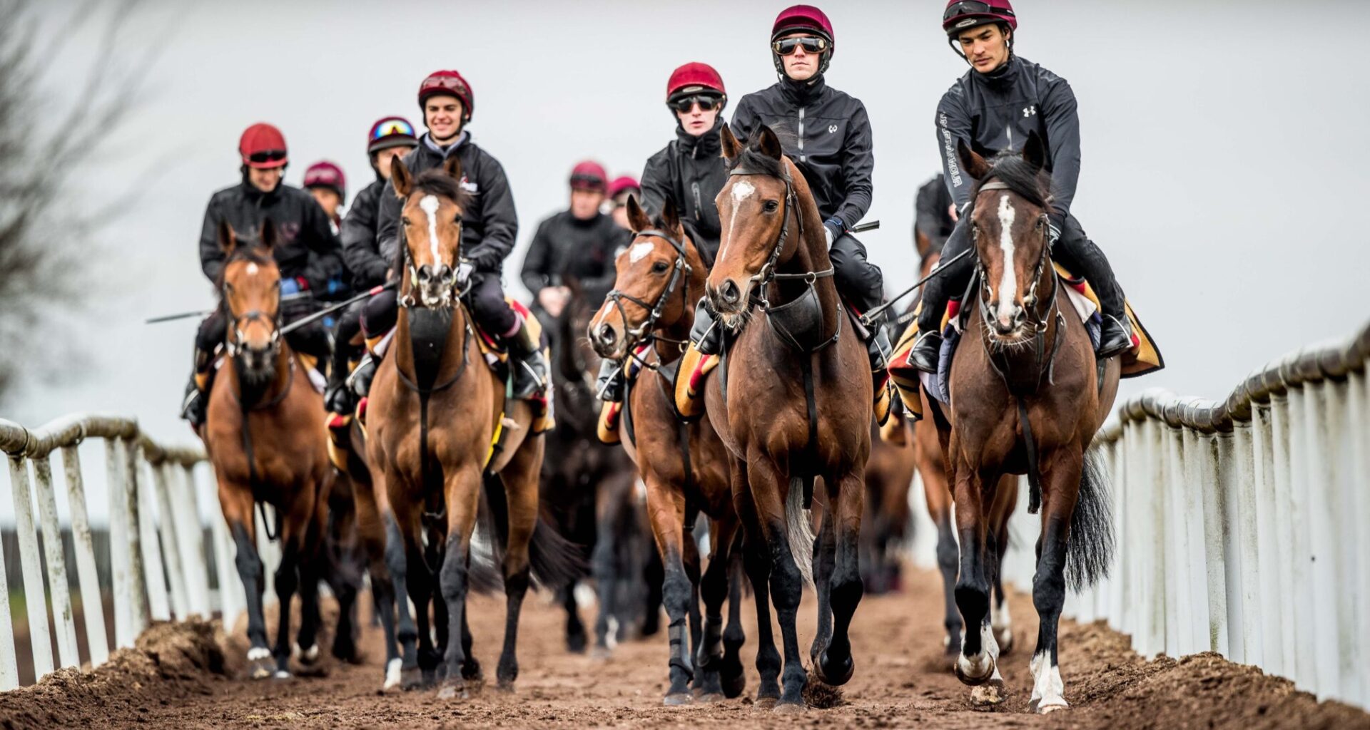 Horse Racing Launches Sustainability Podcast