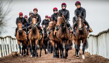Horse Racing Launches Sustainability Podcast