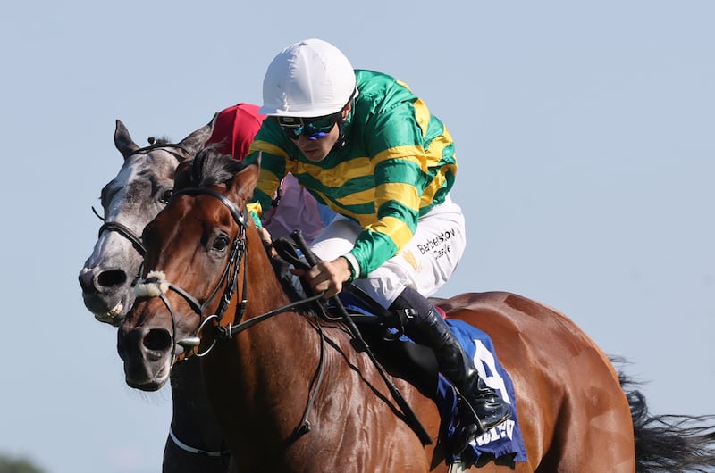 Goodie Two Shoes is set to be owner JP McManus's first runner in Australia in next month's Melbourne Cup. Photograph: Lorraine O’Sullivan/Inpho