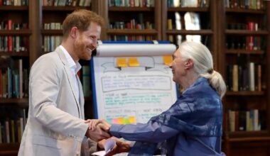 Harry and Meghan lead tributes as conservationist Jane Goodall dies aged 91 – The Irish News