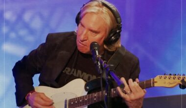 The artist Joe Walsh "wasn't good enough" to match