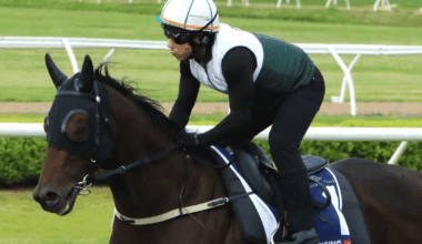 Hayes addresses Ka Ying Rising drift