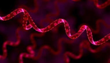 LTBP4 Variants Linked to Severe Pediatric Sepsis