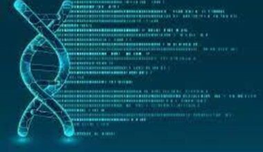 DNA and Gene Cloning Services