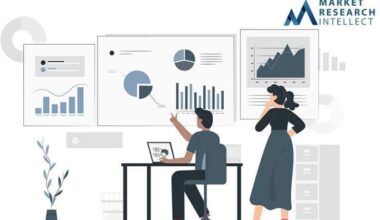 Internet Protocol Virtual Private Networks Ip Vpns Market