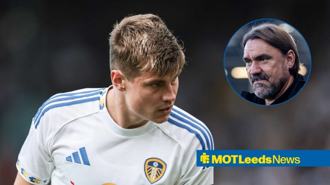 Leeds United defender Jaka Bijol and Daniel Farke in circular inset