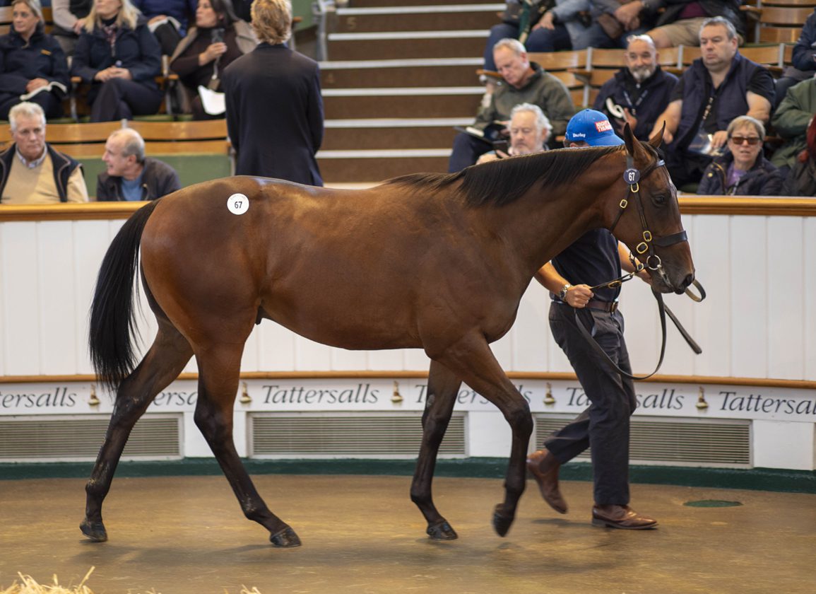 Ballyhimikin Stud in the Limelight Again as Godolphin Strike for Blue Point Colt at 1m Gns