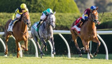 Lush Lips kisses off competition in QE II Challenge Cup horse race