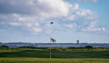Royal St George’s in Sandwich crowned best golf course in England, as five other Kent courses make top 100