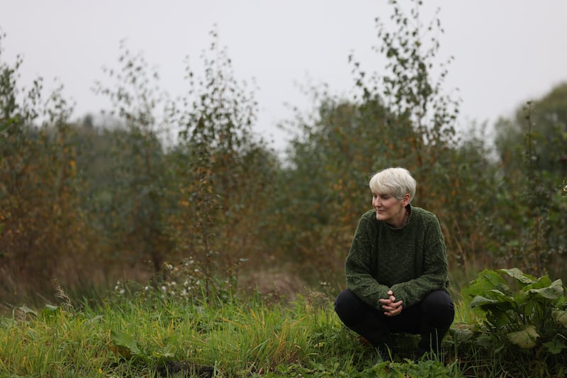 Catherine Cleary in the forest that she and her family are growing in rural Roscommon. Photograph: Bryan O’Brien