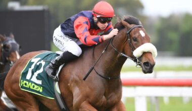 TAB Racing Club to close as Entain focuses on core betting business