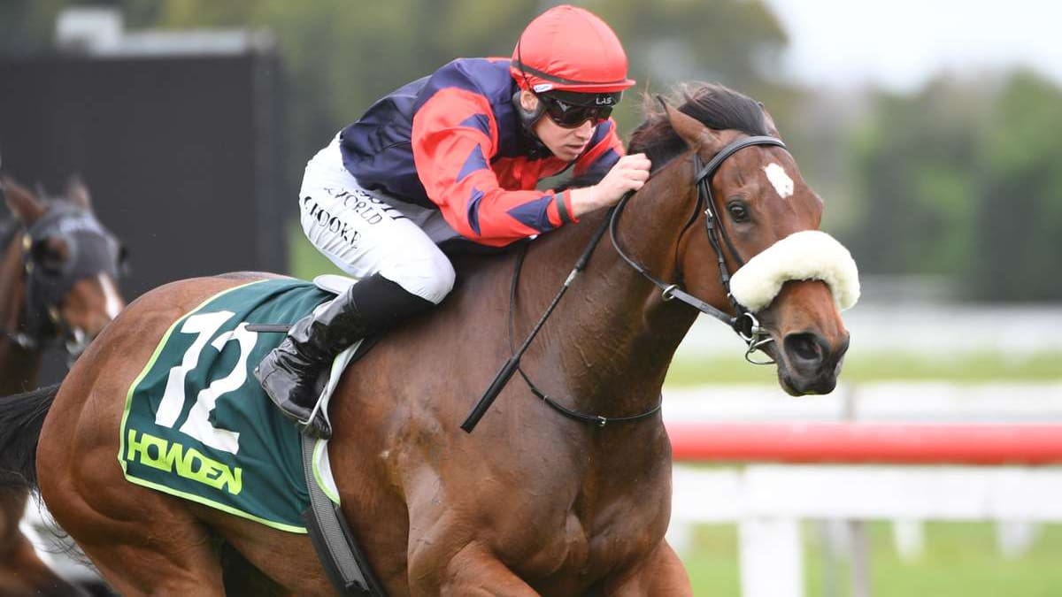 TAB Racing Club to close as Entain focuses on core betting business