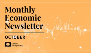 Monthly Cotton Economic Newsletter: October 2025