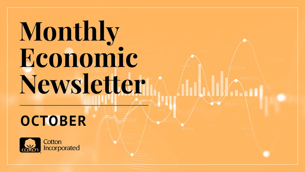 Monthly Cotton Economic Newsletter: October 2025