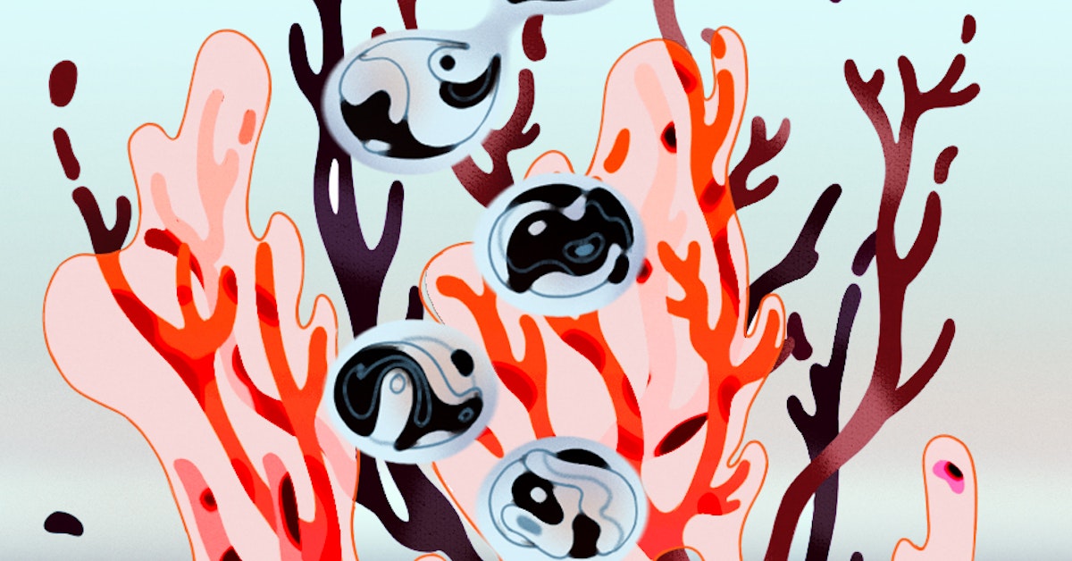 Using Gene Editing For Climate Adaptation