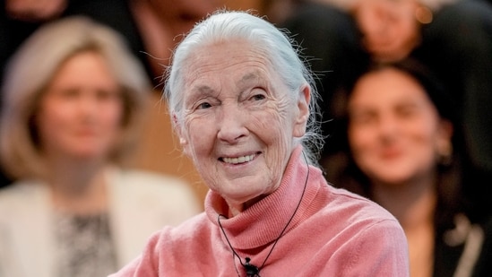 FILE - English primatologist and anthropologist Jane Goodall speaks on a panel "Earth's Wisdom Keepers" at the forum's annual meeting in Davos, Switzerland, Jan. 19, 2024. (AP Photo/Markus Schreiber, File)(AP)