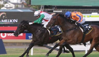 Forsman’s 1000 New Zealand victories a tribute to Jomara Bloodstock connection
