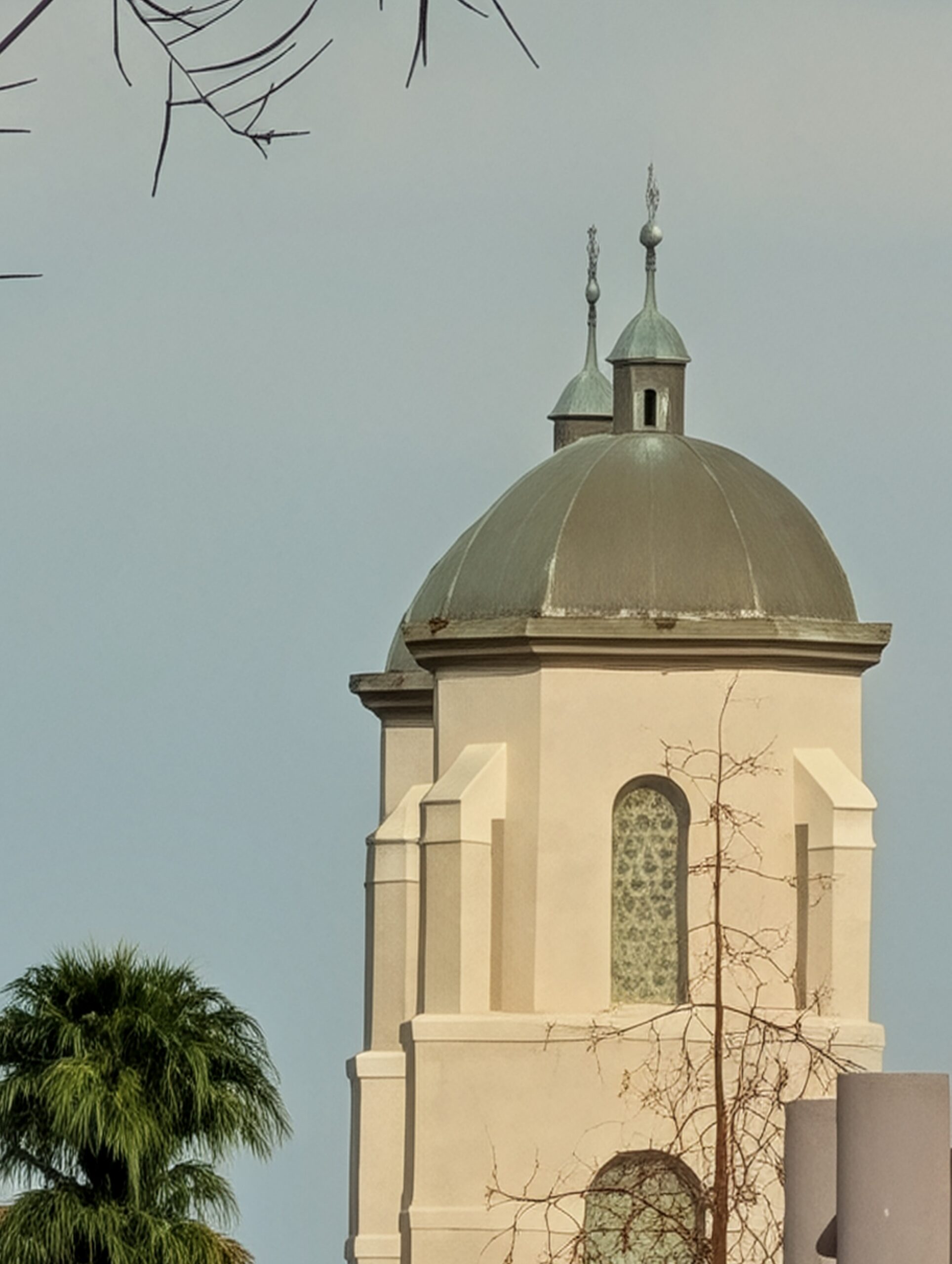 Pixel 10 Pro Pro Res Zoom 100x zoom post-processing