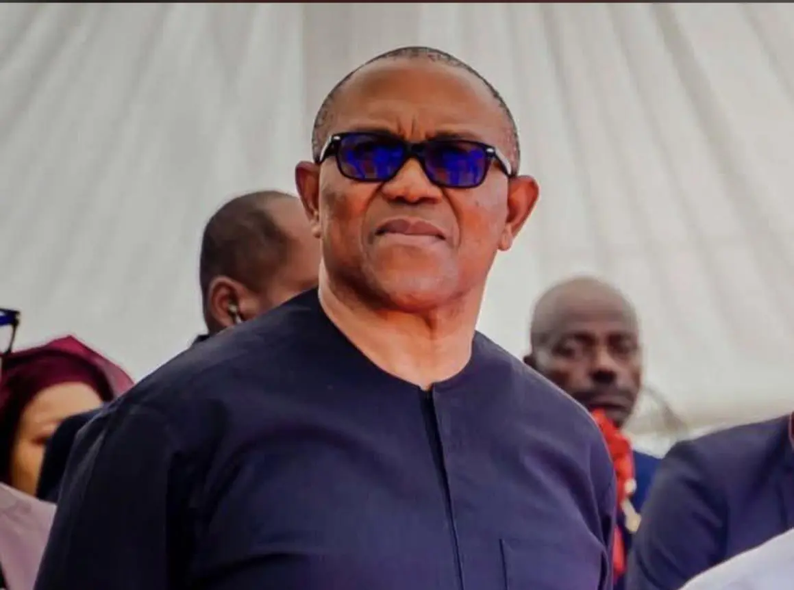 Tinubu’s aide mocks Peter Obi, Obidients after inflation decline