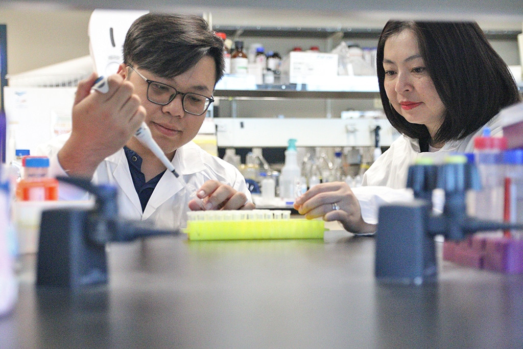 UBC Okanagan doctoral student Tuan-Anh Nguyen, left, and Dr. Thu-Thuy Dang examine plant samples in their lab. Their research has uncovered how tropical trees produce mitraphylline, a rare compound with potential anti-tumor properties.