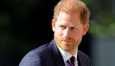 Prince Harry's Idea of a 'Modern' Monarchy Was Flatly Refused — Source