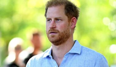 Prince Harry’s Idea of a Different Future Dismissed — Source