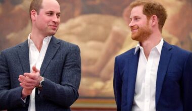 Prince Harry & Prince William's Friend Comes Up With a Way to Reunite Warring Brothers, Say Sources