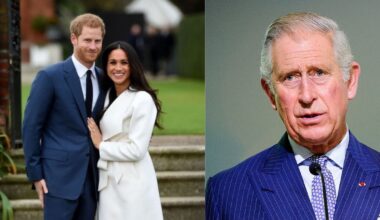 Prince Harry met with King Charles