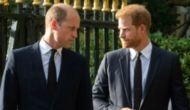 Prince William to meet Prince Harry if he follows this rule