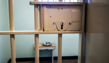 No data on how many prisoners in Ireland have psychosis