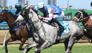 Dylan Turner to honour late mate in the saddle :: Racing Queensland