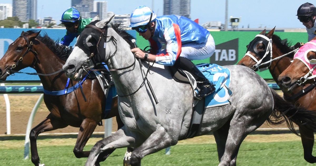 Dylan Turner to honour late mate in the saddle :: Racing Queensland