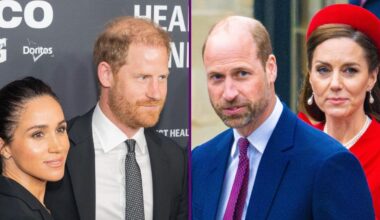 Prince Harry, Meghan Markle, William and Kate 'rivalry' shut down as they highlight 'crucial issue'
