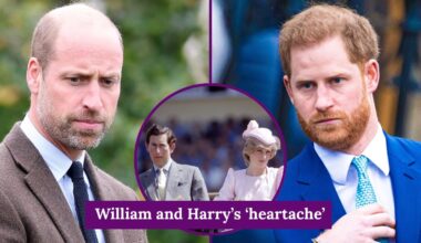 Prince William and Harry were 'heartsick' over Charles and Diana's split