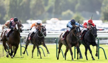 ALLEZ ALLEZ ALLEZ ASFOORA!! - ANZ Bloodstock News