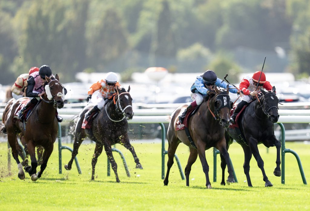 ALLEZ ALLEZ ALLEZ ASFOORA!! - ANZ Bloodstock News