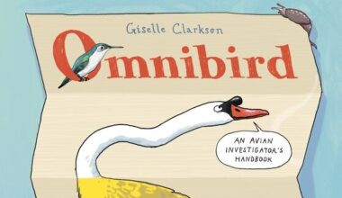 What we're reading: The best of new book releases