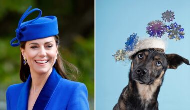 Kate Middleton Milliner Drops 2026 Calendar of Dogs in Hats