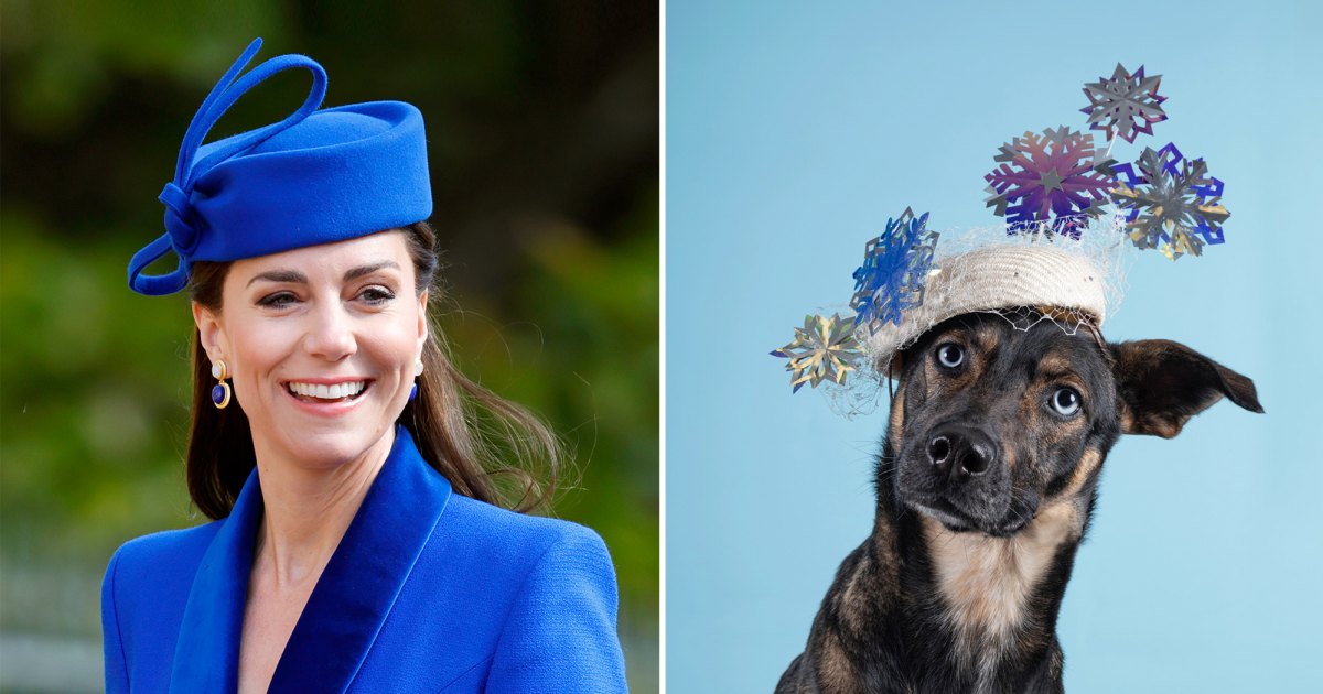 Kate Middleton Milliner Drops 2026 Calendar of Dogs in Hats