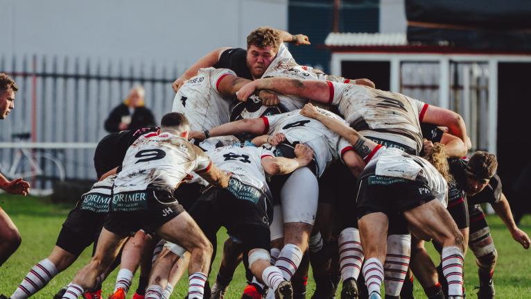 Rugby Lions