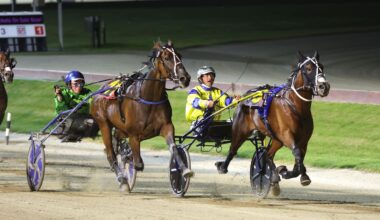Horse racing: Top trotter has the heart and now he has the shoes to match