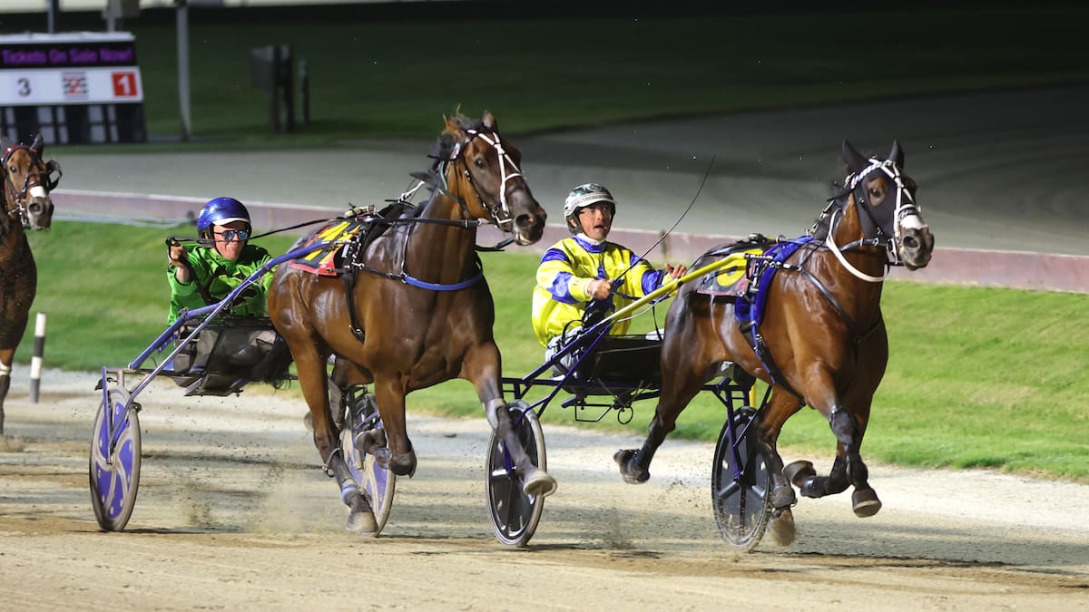 Horse racing: Top trotter has the heart and now he has the shoes to match