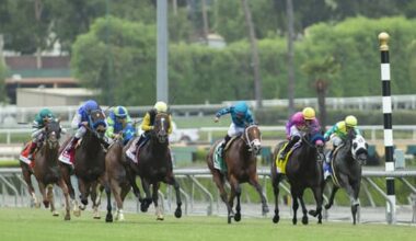 Maiden Sendit Mo Draws Outside Post in Speakeasy Stakes at Santa Anita