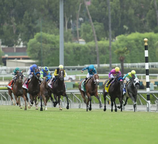 Maiden Sendit Mo Draws Outside Post in Speakeasy Stakes at Santa Anita