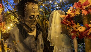 Visit the Halloween Garden... if you dare