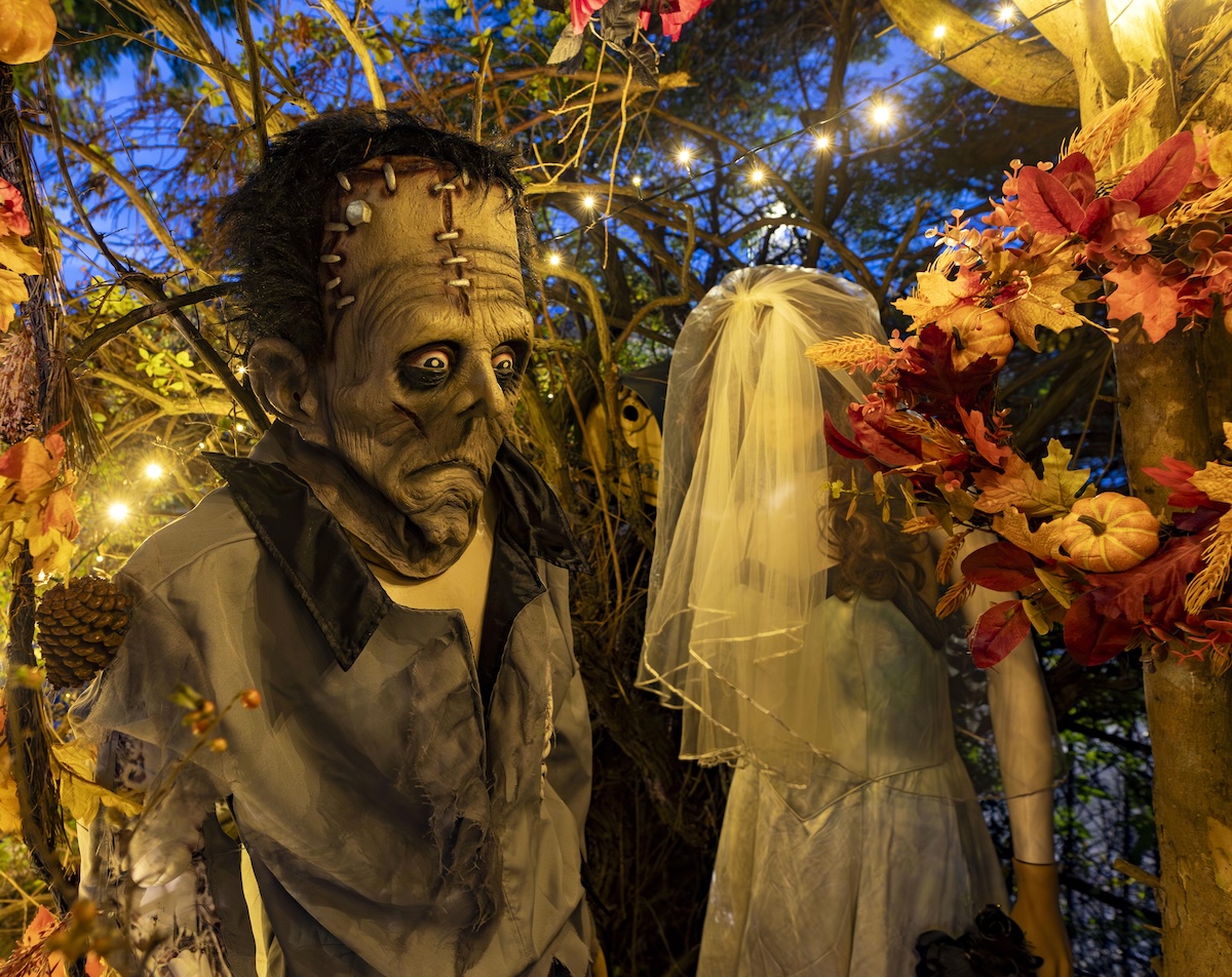 Visit the Halloween Garden... if you dare