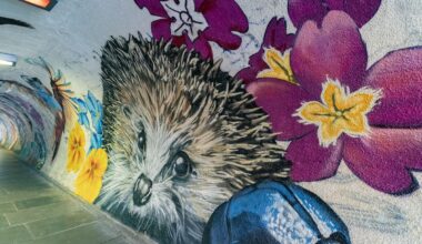 Balgreen Tunnel transformed with wildlife art