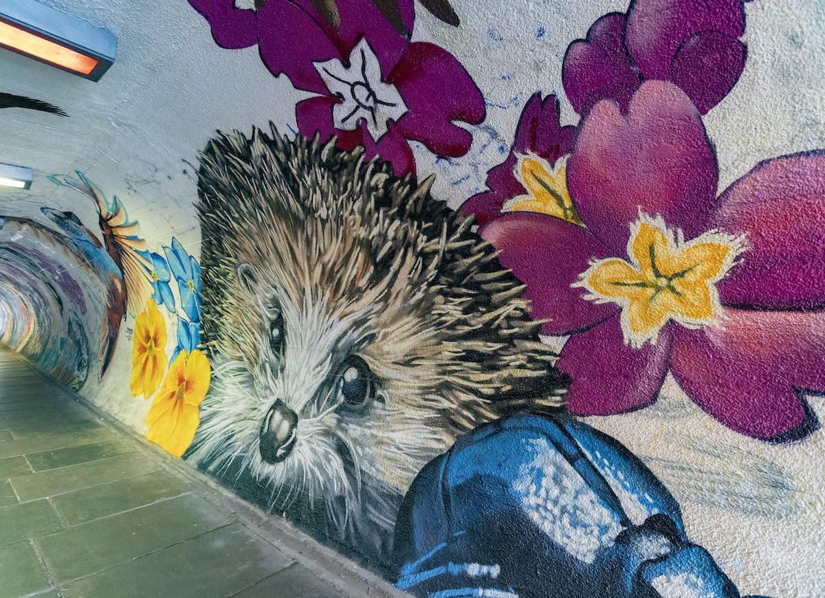Balgreen Tunnel transformed with wildlife art