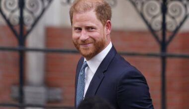 ‘Fixated’ stalker came within feet of Prince Harry on latest UK visit